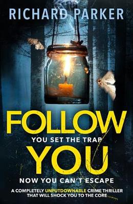 Book cover for Follow You