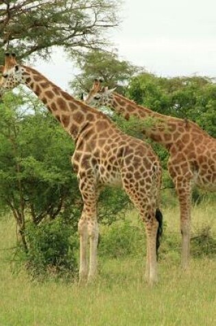 Cover of Giraffes at Murchison Falls in Uganda, Africa Journal