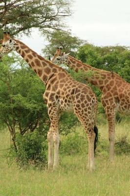 Book cover for Giraffes at Murchison Falls in Uganda, Africa Journal