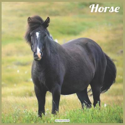 Book cover for Horse 2021 Wall Calendar