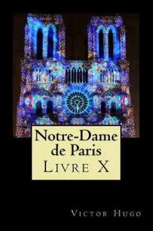 Cover of Notre-Dame de Paris (Livre X)