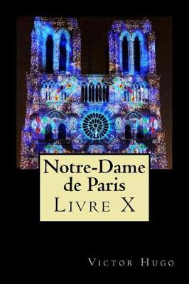 Book cover for Notre-Dame de Paris (Livre X)