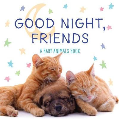 Book cover for Good Night, Friends