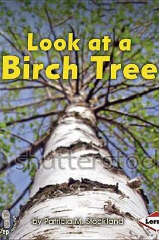 Cover of Look at a Birch Tree