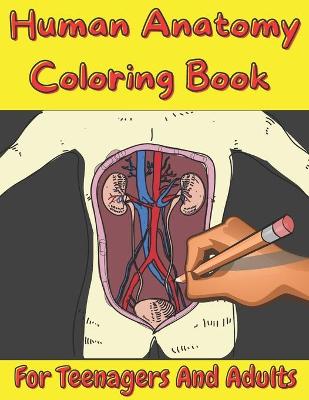 Cover of Human Anatomy Coloring Book For Teenagers And Adults