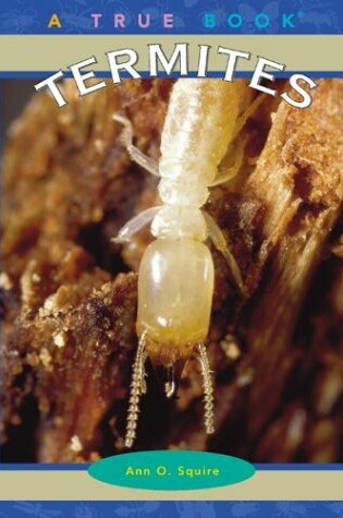 Cover of Termites