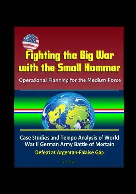 Book cover for Fighting the Big War with the Small Hammer