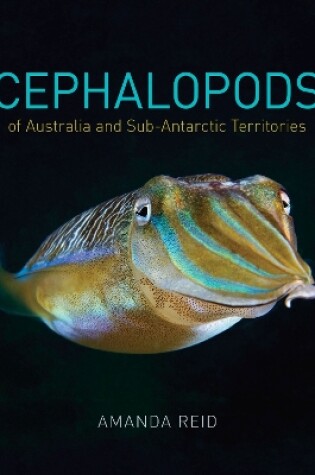 Cover of Cephalopods of Australia and Sub-Antarctic Territories