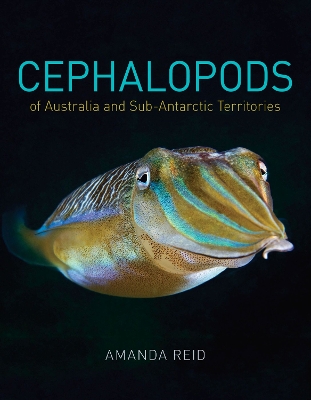 Book cover for Cephalopods of Australia and Sub-Antarctic Territories