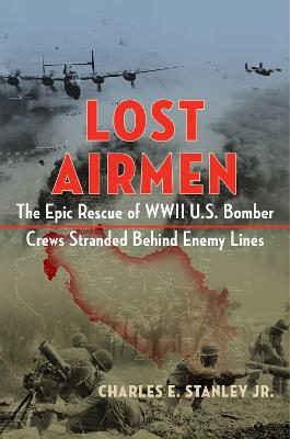 Book cover for Lost Airmen