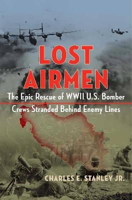 Book cover for Lost Airmen