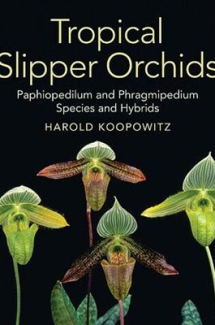 Cover of Tropical Slipper Orchids