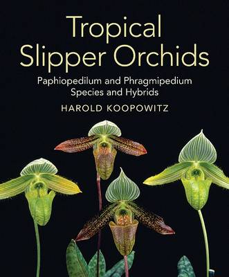 Book cover for Tropical Slipper Orchids