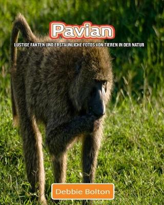 Book cover for Pavian