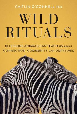 Book cover for Wild Rituals