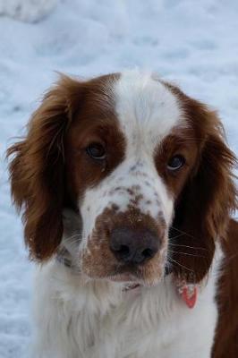 Book cover for Welsh Springer Spaniel Journal