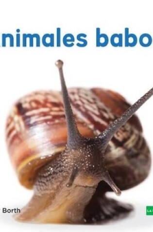 Cover of Animales Babosos (Slimy Animals ) (Spanish Version)