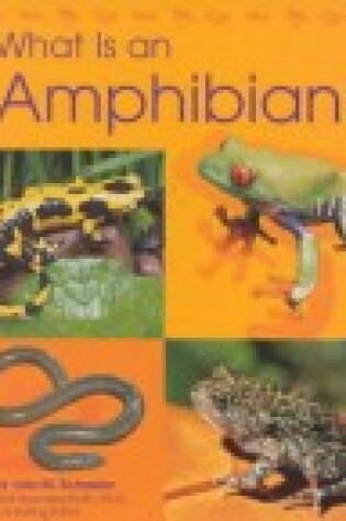 Cover of What Is an Amphibian?
