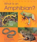 Cover of What Is an Amphibian?