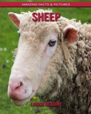 Book cover for Sheep