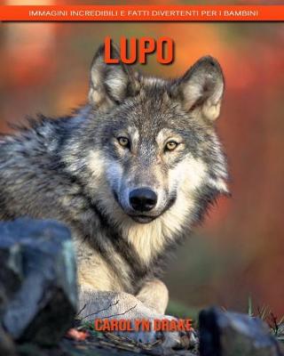 Book cover for Lupo