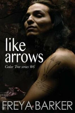 Cover of Like Arrows