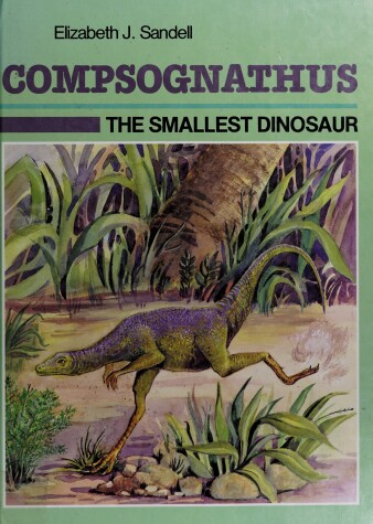 Book cover for Compsognathus