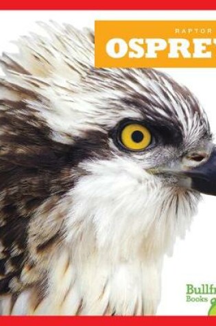 Cover of Ospreys