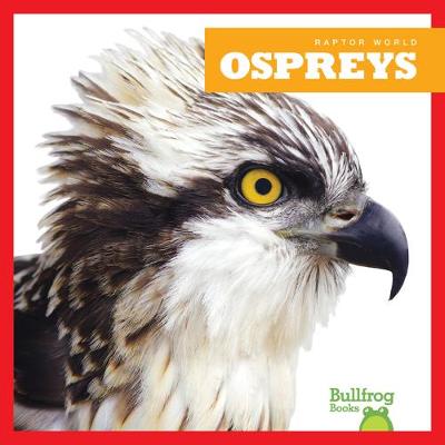 Cover of Ospreys