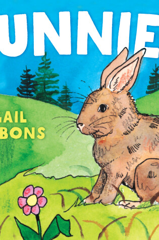 Cover of Bunnies