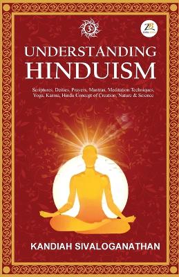 Book cover for Understanding Hinduism