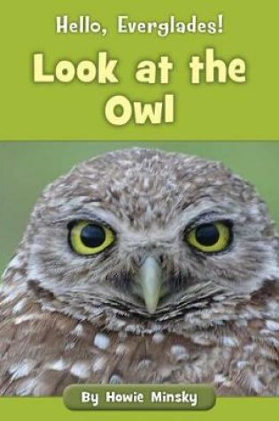 Cover of Look at the Owl