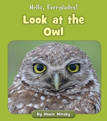 Cover of Look at the Owl