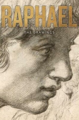 Cover of Raphael