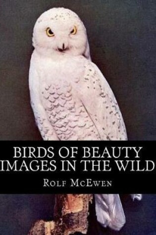 Cover of Birds of Beauty - Images in the Wild