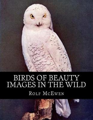 Book cover for Birds of Beauty - Images in the Wild