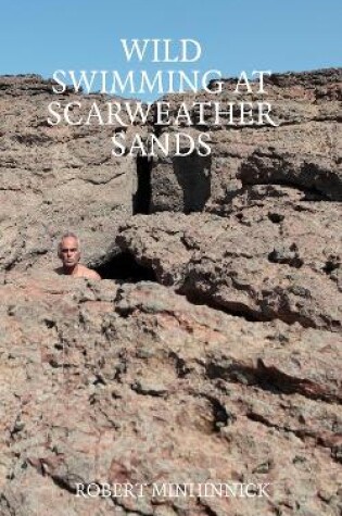 Cover of Wild Swimming at Scarweather Sands