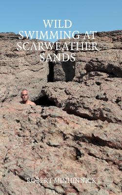 Book cover for Wild Swimming at Scarweather Sands