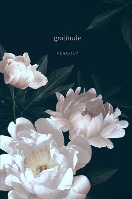 Book cover for Gratitude planner