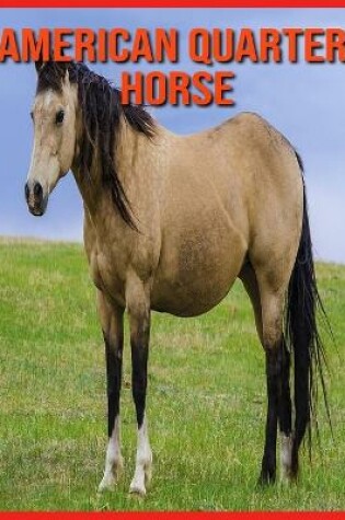 Cover of American Quarter Horse