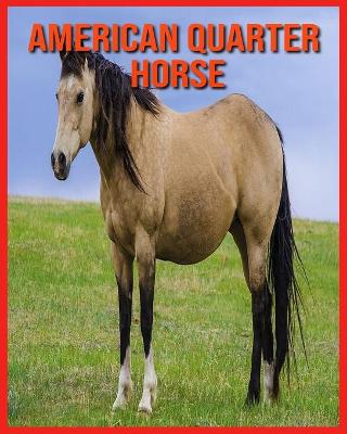 Book cover for American Quarter Horse