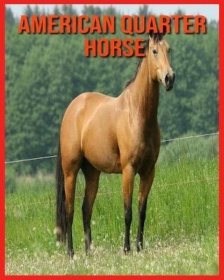 Book cover for American Quarter Horse