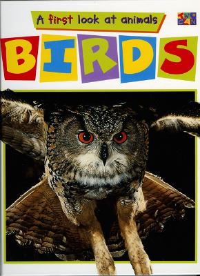 Book cover for Birds