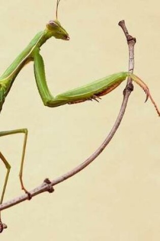 Cover of Praying Mantis Notebook