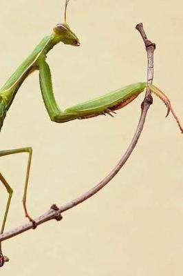 Book cover for Praying Mantis Notebook