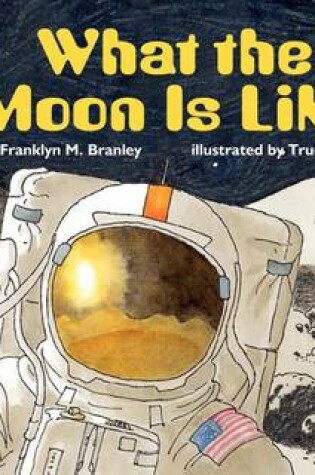 Cover of What the Moon is Like
