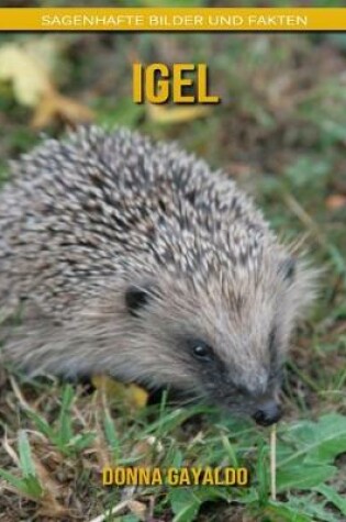 Cover of Igel