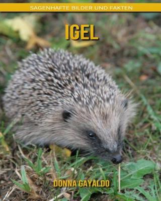 Book cover for Igel