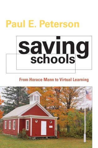 Book cover for Saving Schools