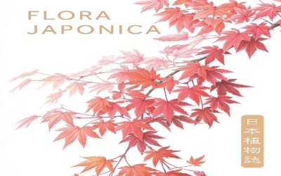 Book cover for Flora Japonica